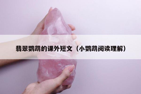 翡翠鹦鹉的课外短文（小鹦鹉阅读理解）