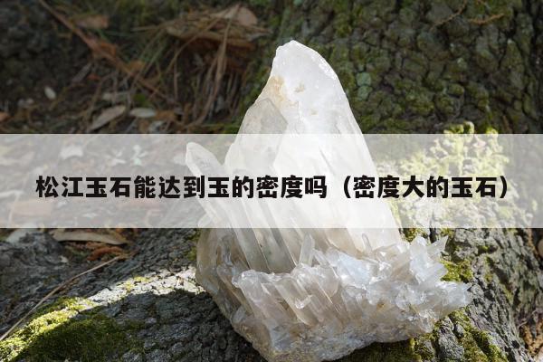 松江玉石能达到玉的密度吗（密度大的玉石）