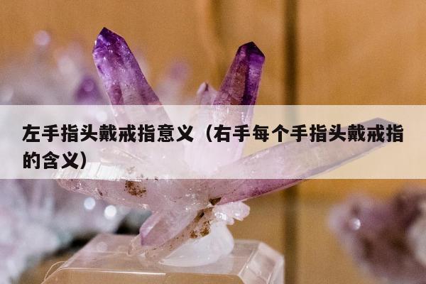 左手指头戴戒指意义（右手每个手指头戴戒指的含义）