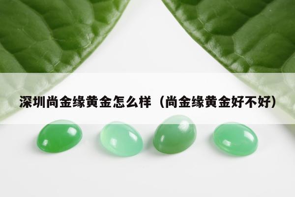深圳尚金缘黄金怎么样（尚金缘黄金好不好）