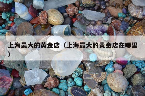 上海最大的黄金店（上海最大的黄金店在哪里）