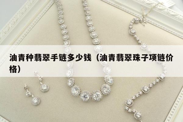 油青种翡翠手链多少钱（油青翡翠珠子项链价格）