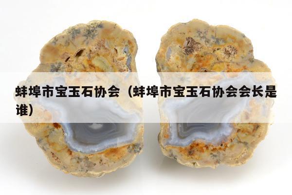 蚌埠市宝玉石协会（蚌埠市宝玉石协会会长是谁）