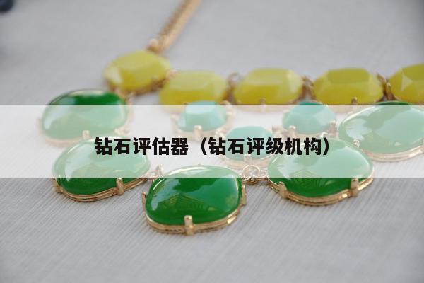 钻石评估器（钻石评级机构）