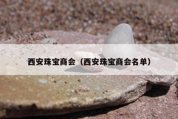 西安珠宝商会（西安珠宝商会名单）