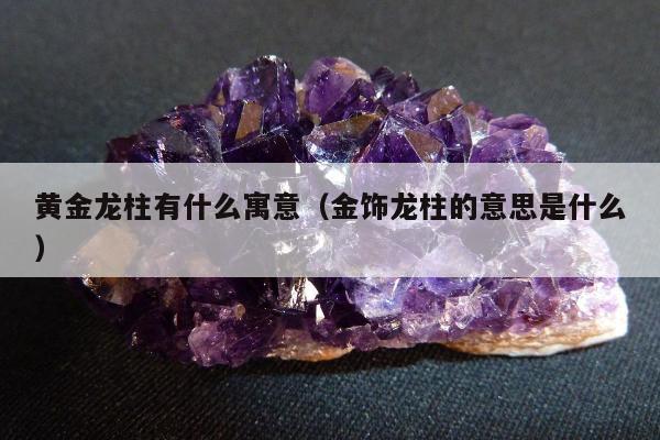 黄金龙柱有什么寓意（金饰龙柱的意思是什么）
