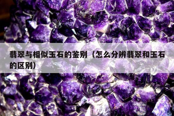 翡翠与相似玉石的鉴别（怎么分辨翡翠和玉石的区别）