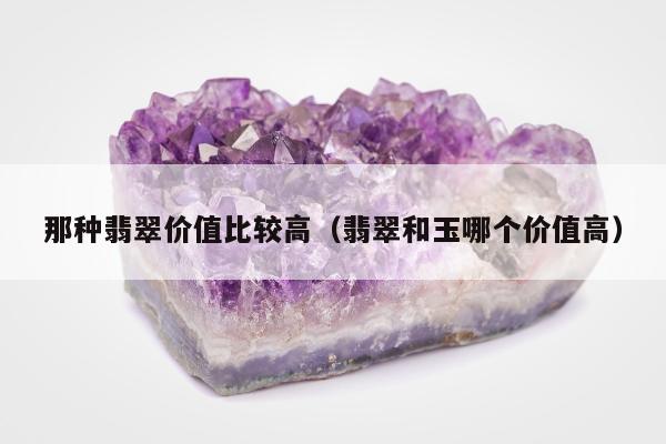 那种翡翠价值比较高（翡翠和玉哪个价值高）