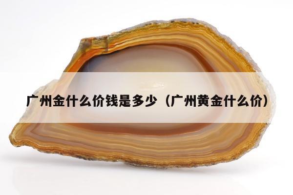 广州金什么价钱是多少（广州黄金什么价）