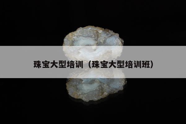珠宝大型培训（珠宝大型培训班）