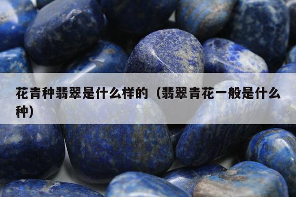 花青种翡翠是什么样的（翡翠青花一般是什么种）