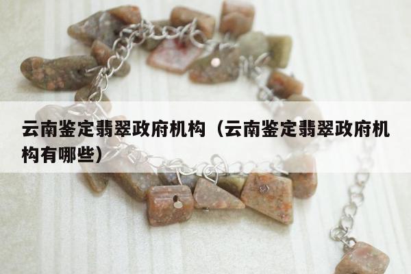 云南鉴定翡翠政府机构（云南鉴定翡翠政府机构有哪些）