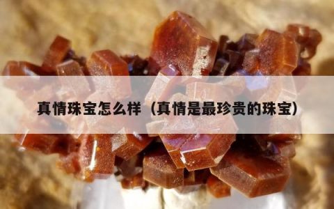 真情珠宝怎么样（真情是最珍贵的珠宝）