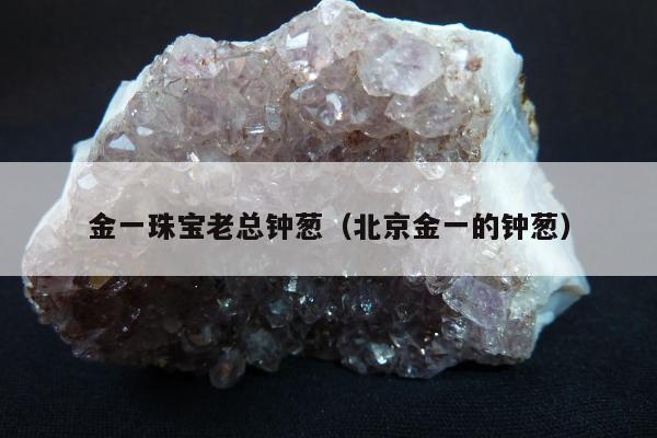 金一珠宝老总钟葱（北京金一的钟葱）