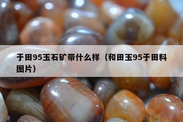 于田95玉石矿带什么样（和田玉95于田料图片）