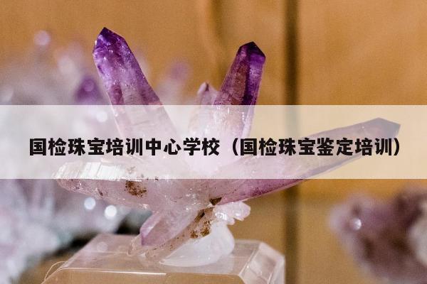 国检珠宝培训中心学校（国检珠宝鉴定培训）