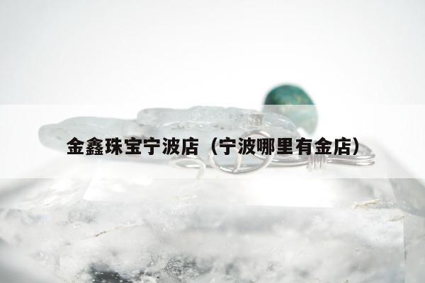 金鑫珠宝宁波店（宁波哪里有金店）