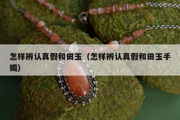 怎样辨认真假和田玉（怎样辨认真假和田玉手镯）