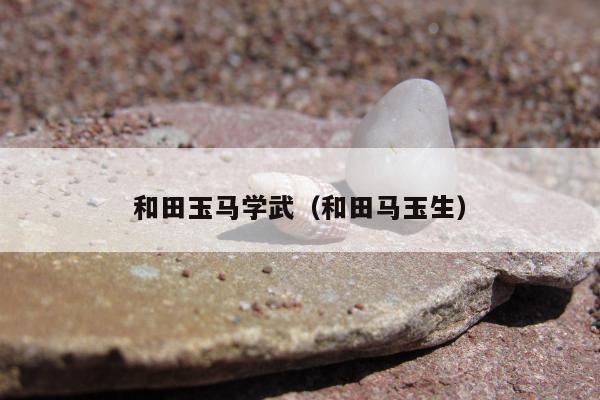 和田玉马学武（和田马玉生）
