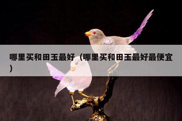 哪里买和田玉最好（哪里买和田玉最好最便宜）