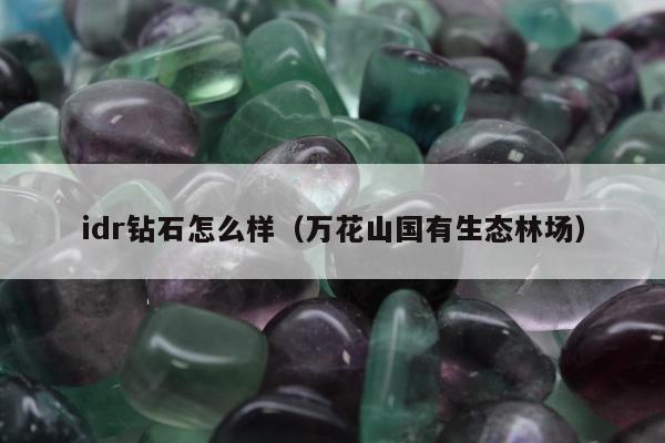 idr钻石怎么样（万花山国有生态林场）
