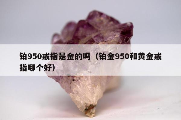 铂950戒指是金的吗（铂金950和黄金戒指哪个好）