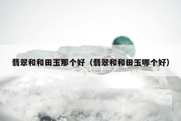 翡翠和和田玉那个好（翡翠和和田玉哪个好）