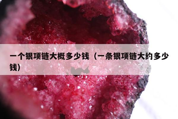 一个银项链大概多少钱（一条银项链大约多少钱）