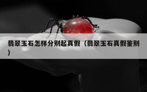 翡翠玉石怎样分别起真假（翡翠玉石真假鉴别）