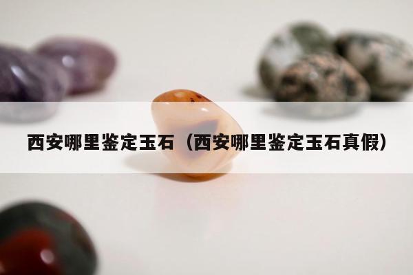 西安哪里鉴定玉石（西安哪里鉴定玉石真假）