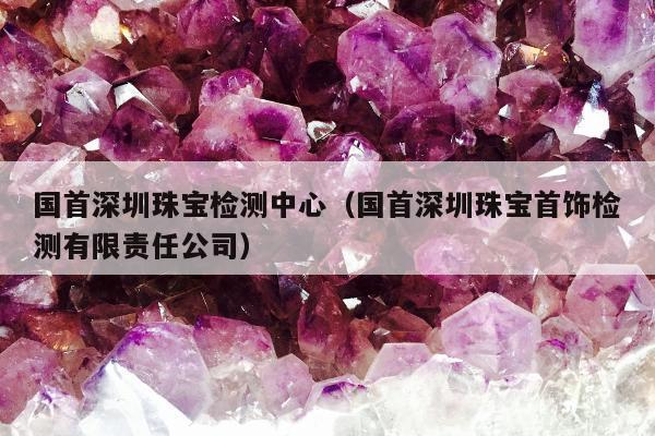 国首深圳珠宝检测中心（国首深圳珠宝首饰检测有限责任公司）