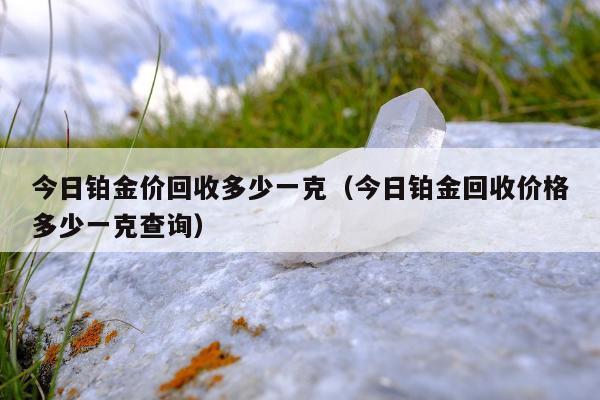 今日铂金价回收多少一克（今日铂金回收价格多少一克查询）