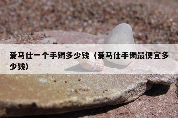 爱马仕一个手镯多少钱（爱马仕手镯最便宜多少钱）