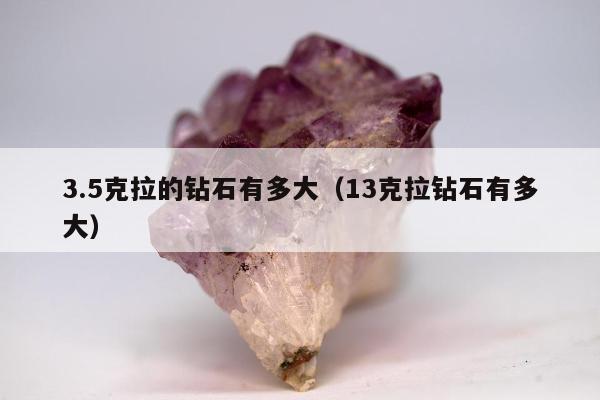.5克拉的钻石有多大（13克拉钻石有多大）"