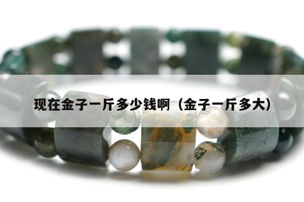 现在金子一斤多少钱啊（金子一斤多大）