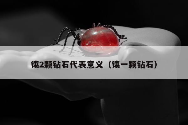 镶2颗钻石代表意义（镶一颗钻石）