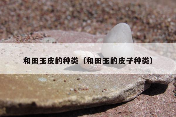 和田玉皮的种类（和田玉的皮子种类）
