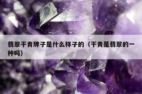 翡翠干青牌子是什么样子的（干青是翡翠的一种吗）