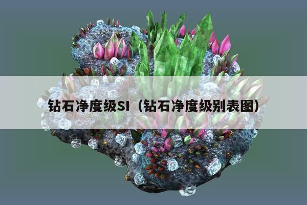 钻石净度级SI（钻石净度级别表图）