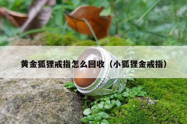 黄金狐狸戒指怎么回收（小狐狸金戒指）