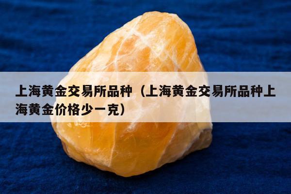 上海黄金交易所品种（上海黄金交易所品种上海黄金价格少一克）