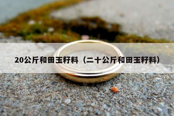 0公斤和田玉籽料（二十公斤和田玉籽料）"