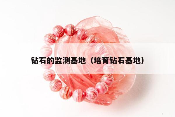 钻石的监测基地（培育钻石基地）