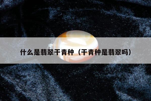 什么是翡翠干青种（干青种是翡翠吗）