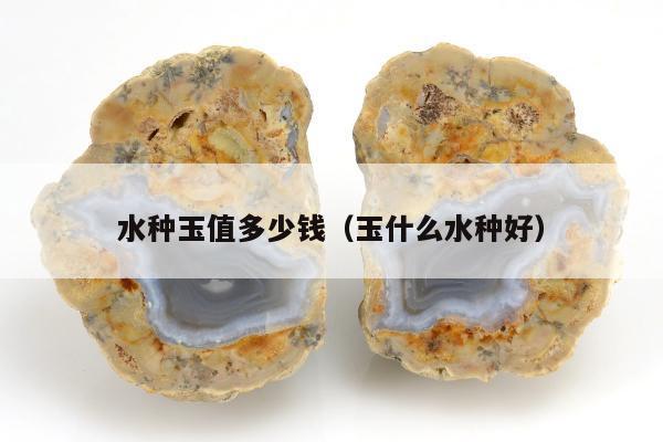 水种玉值多少钱（玉什么水种好）