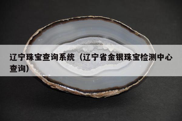 辽宁珠宝查询系统（辽宁省金银珠宝检测中心查询）