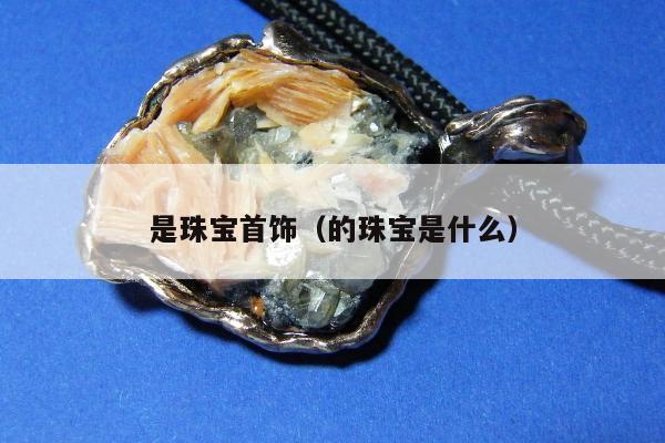 是珠宝首饰（的珠宝是什么）