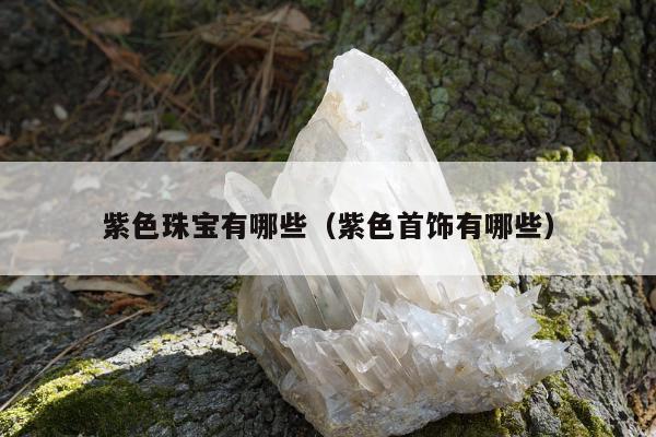 紫色珠宝有哪些（紫色首饰有哪些）