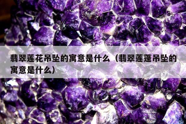 翡翠莲花吊坠的寓意是什么（翡翠莲蓬吊坠的寓意是什么）