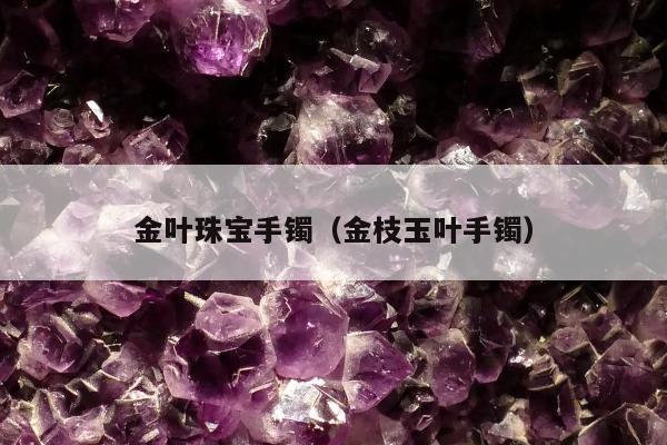 金叶珠宝手镯（金枝玉叶手镯）